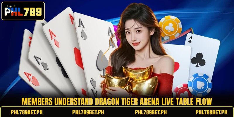 Members understand Dragon Tiger Arena Live table flow Members understand Dragon Tiger Arena Live table flow
